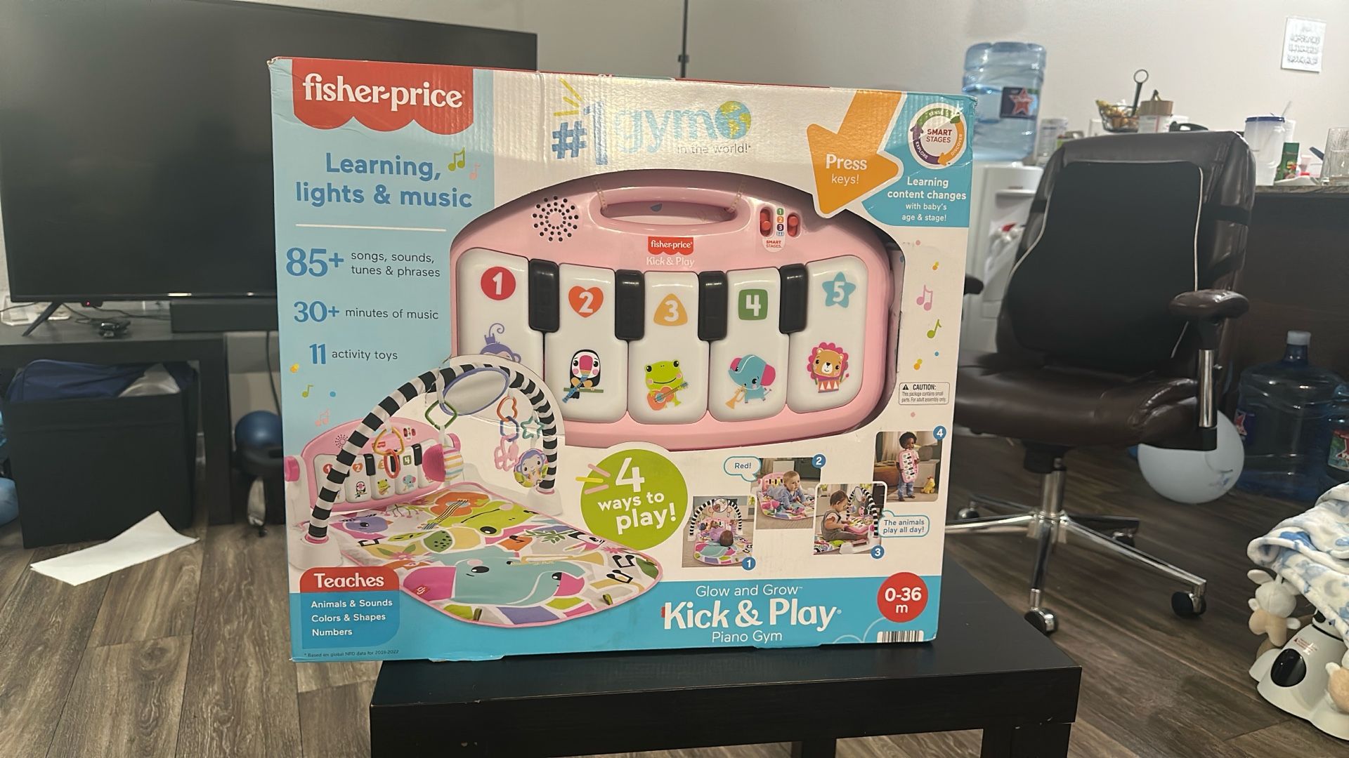 Fisher Price Play Gym Toy
