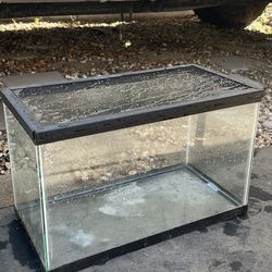 Reptile Or Fish Tank (2 Available) $10 Each Terrarium