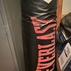 Everlast Punching Bag 