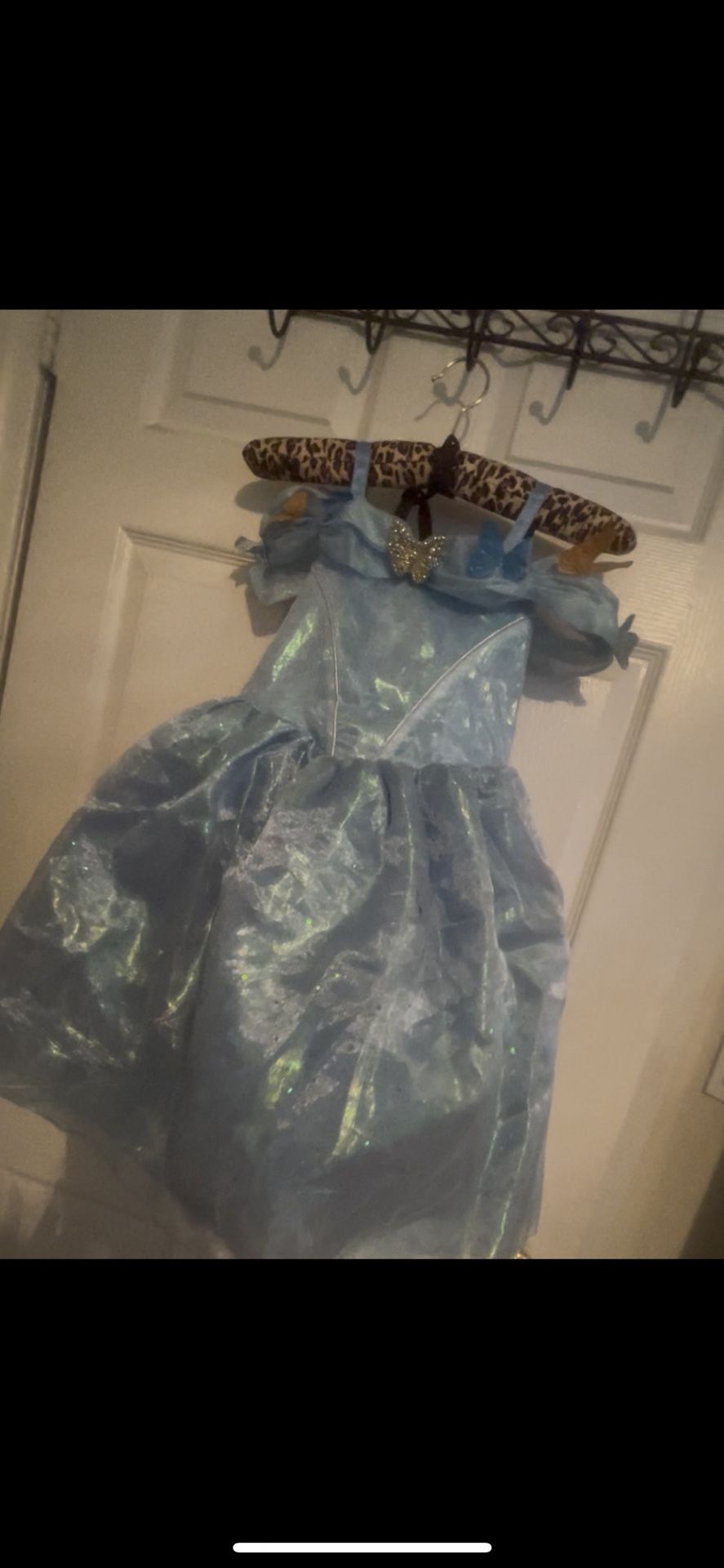 Cinderella Halloween Costume