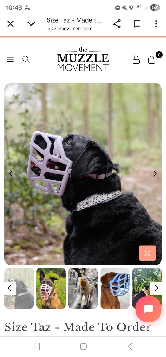 Custom Muzzle The Muzzle Movement