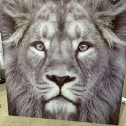 Glass Lion Picture