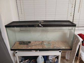 50 Gallon tank