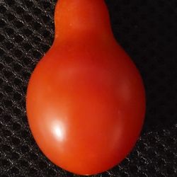 Organic Red Pear Tomato Seeds! 2026 SEASON EARLY RELEASE! 