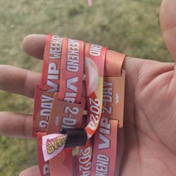 MICHE FEST 2-Day VIP WRISTBANDS FOR SALE 