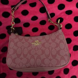 coach teri bag