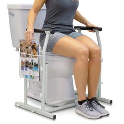 Vive Toilet Safety Rail