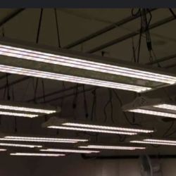 Electric Sky Grow Lights V3