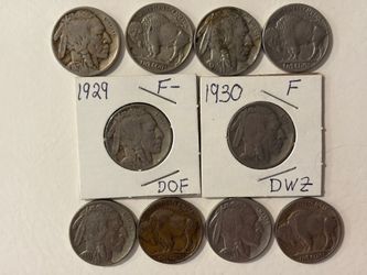 Buffalo Nickels, Coins for Collector