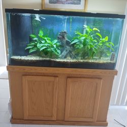 Aquarium