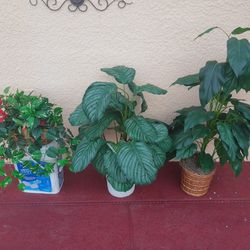 3 Beautiful Artificial Plant About 3' Tall $10Each Fake  Plant