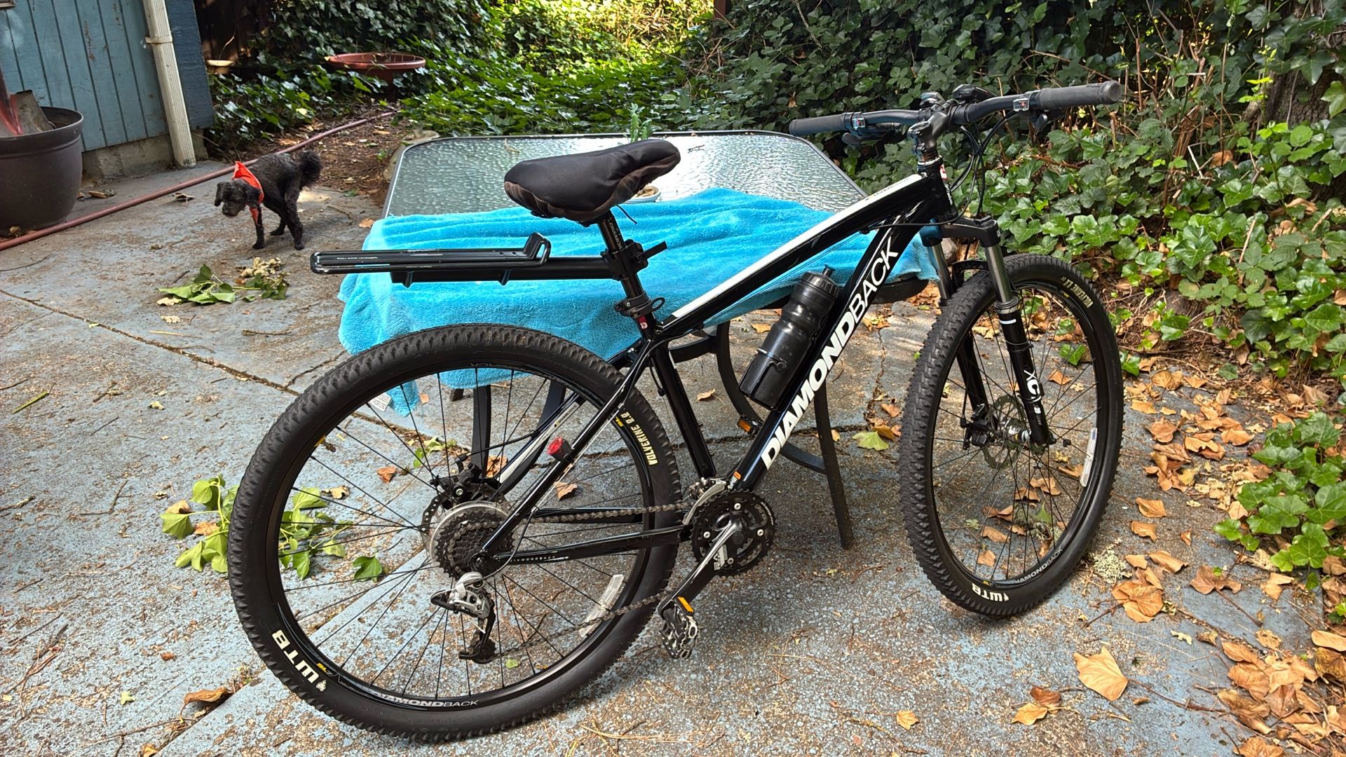 Bike Mountain Bike Diamondback
