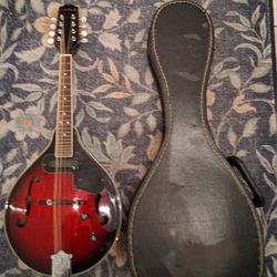 Electric Mandolin With Case