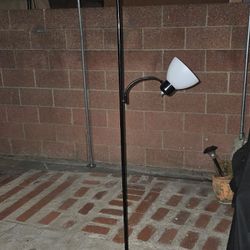Standing NICE LAMP