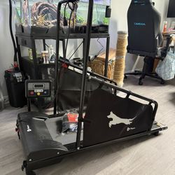 Lifepro PawRunner Dog Treadmill