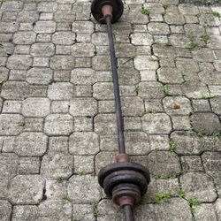 Weights