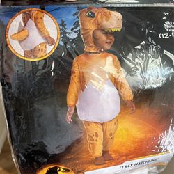 T Rex Costume 