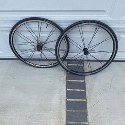 Bontragner 650 Wheel set  Rim Brake  