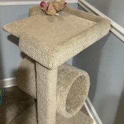 Cat Scratching Tree