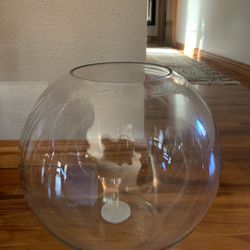 14 Inch Glass Terrarium Bowl