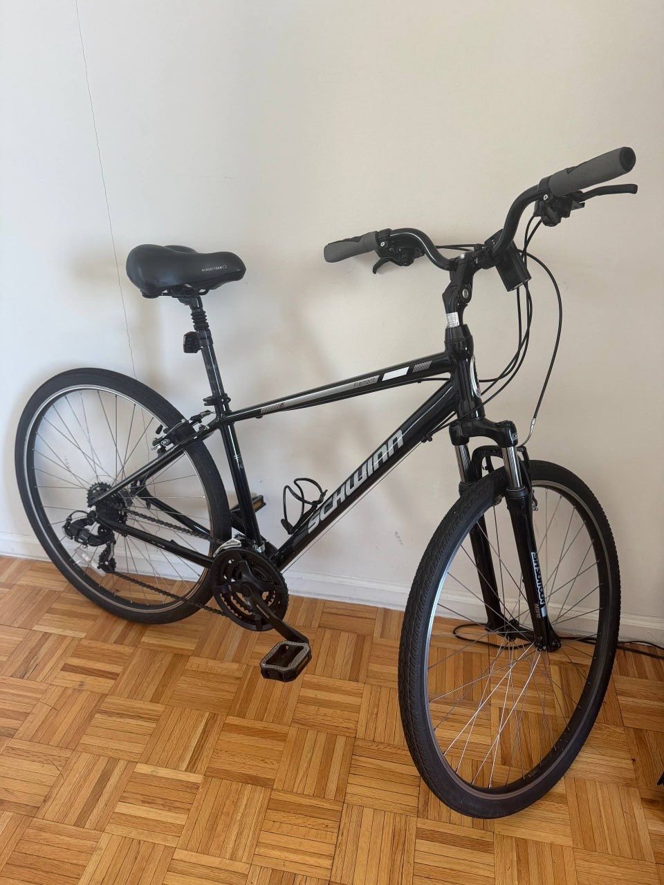 Schwinn / PacificCycle Bicycle (S8092DSGAMD)