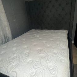 Queen Mattress 