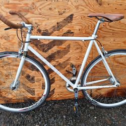 Gavin Single Speed