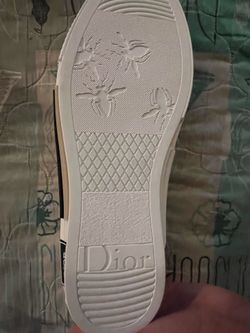 Dior b23 league low top sneaker