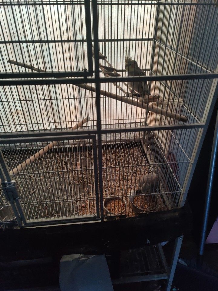 Bird Cage for Sale in Houston, TX OfferUp