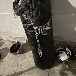 Everlast Boxing Bag 