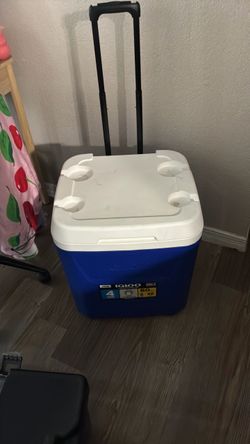 Cooler