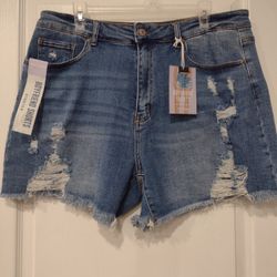 Boyfriend Stretchy Plus size Shorts