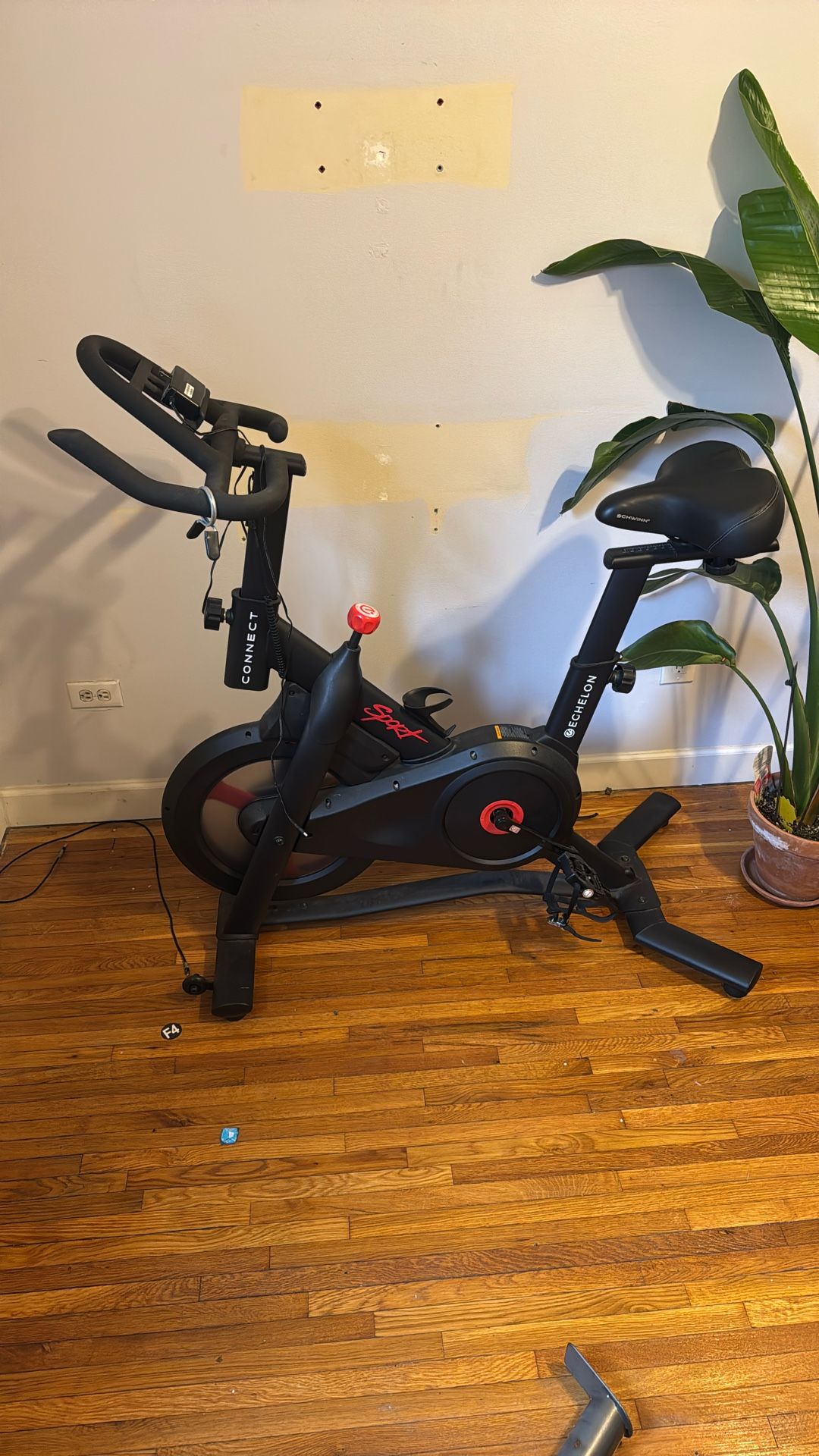 Exercise Bike