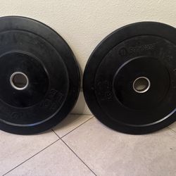 10 lb BodySport Olympic Plates – $55 Pair / $30 Each