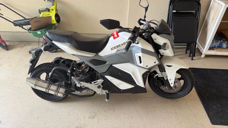 Ice bear 50cc