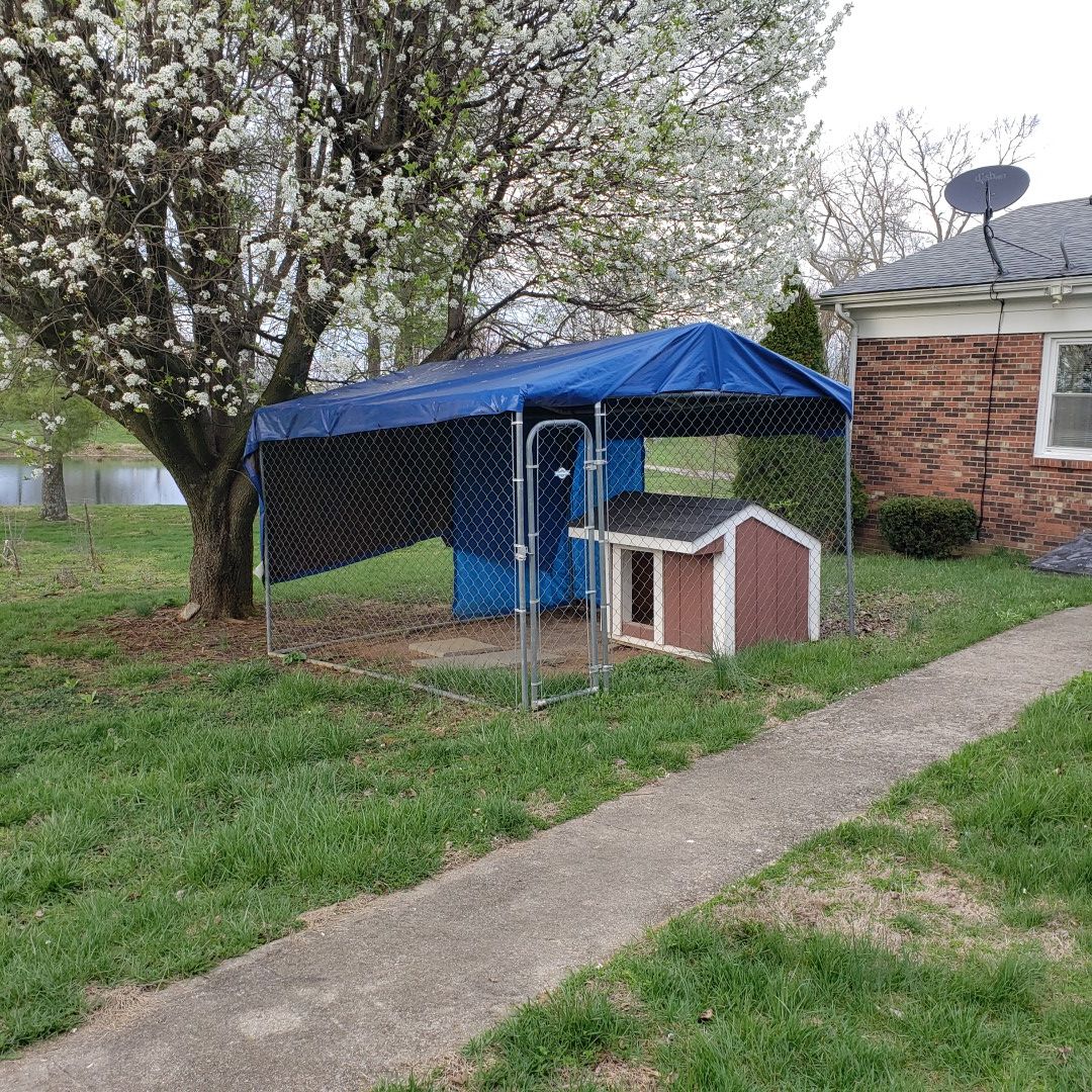 10'x10' kennel with large dog house.