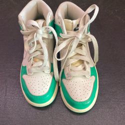 Boy Nike Dunks