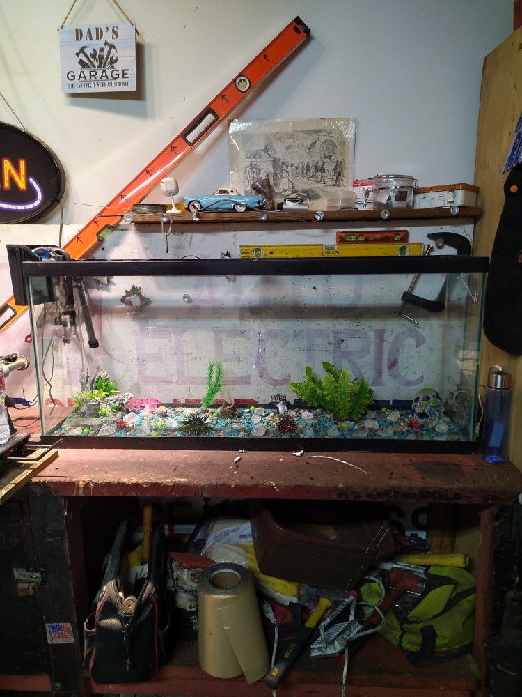 Fish Tank