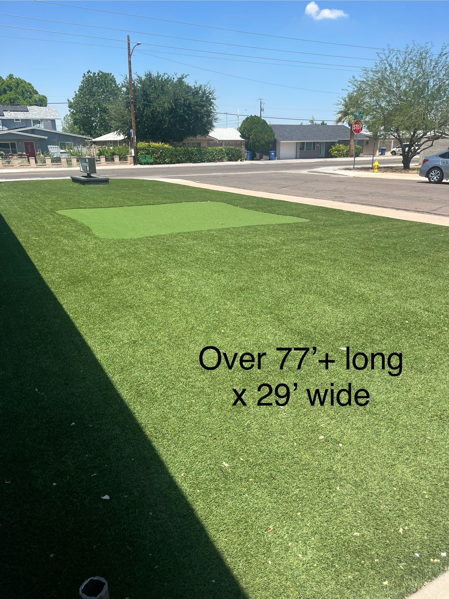 Astro Turf Grass