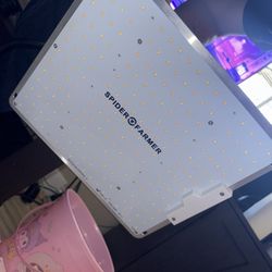 Spider Farms Grow light 