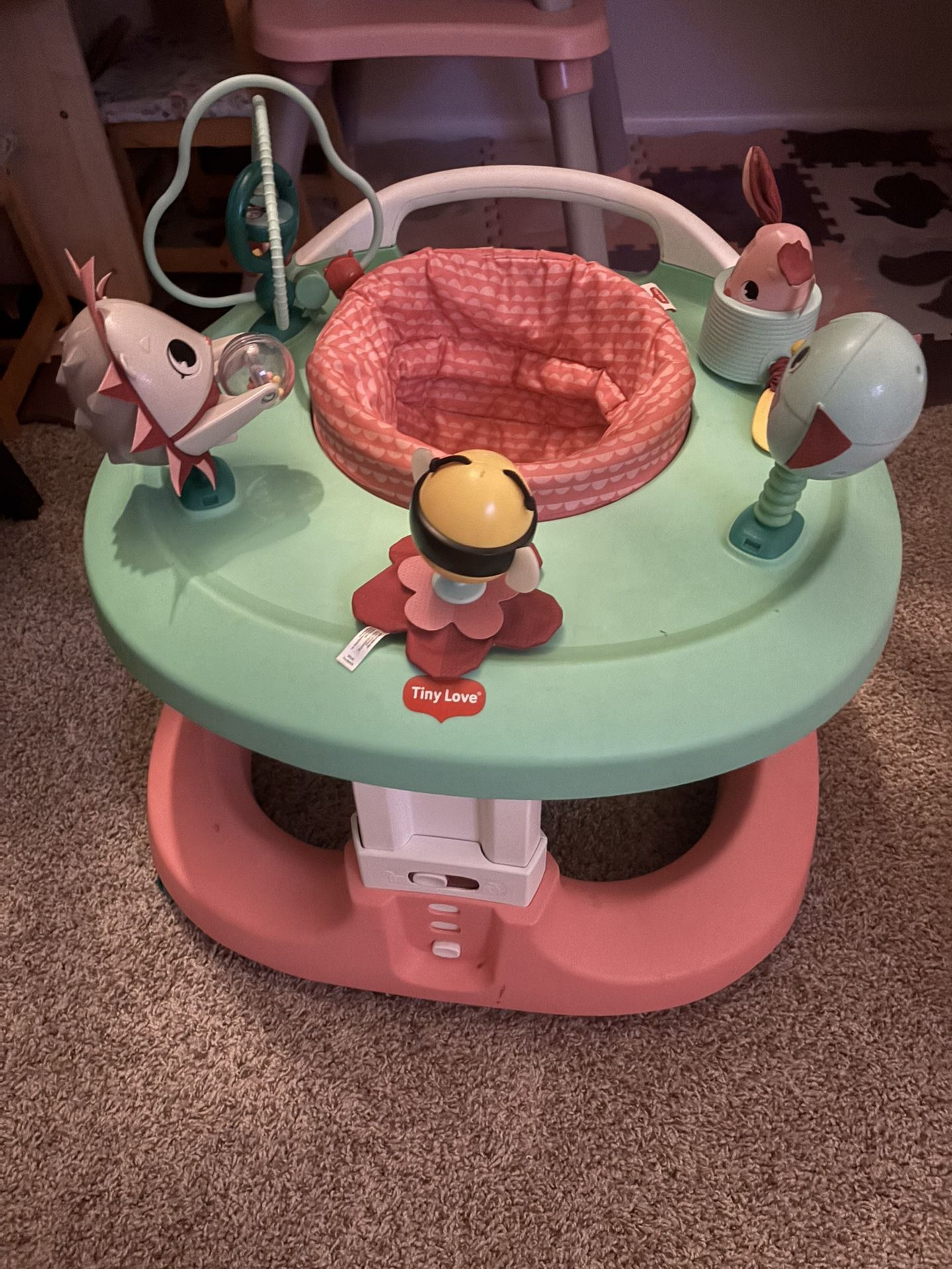 Tiny Love Activity Center