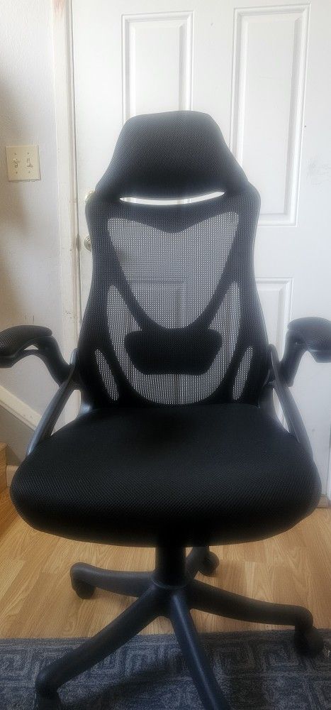 Ren Sheng Ergonomic Office Chair