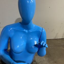 Glossy Blue “ Egg Head” Mannequin Head And Torso