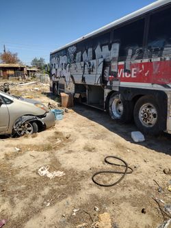 Have You Seen This Bus?