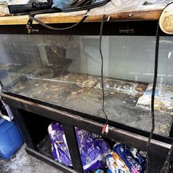 75g Fish Tank  With Stand 