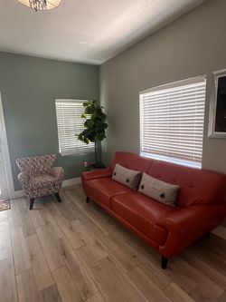 Sofá, silla, planta y cuadro. (Se vende todo lo que ve)
