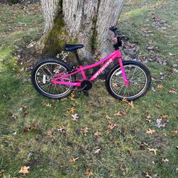 20” Specialized Kids Bike