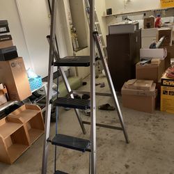 Steel Ladder Pick Up Only 
