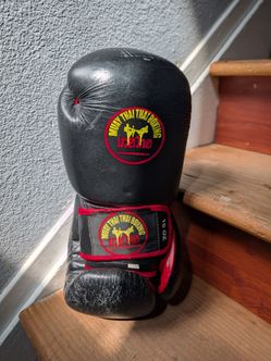 Muay Thai Boxing Gloves (16 oz)