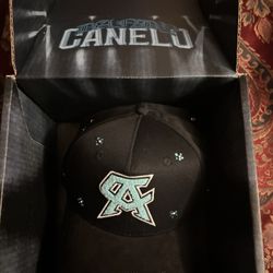 Dandy Canelo 
